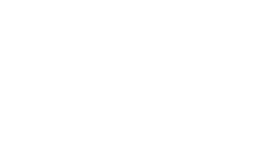 Janika Knauss Marketing Consulting Icon weiß